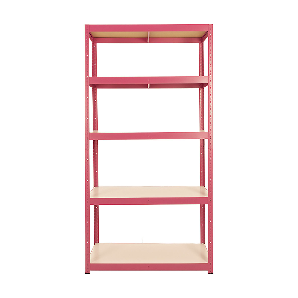 BIGDUG Pink with Purpose Shelving