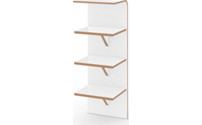 Lean to shelf unit