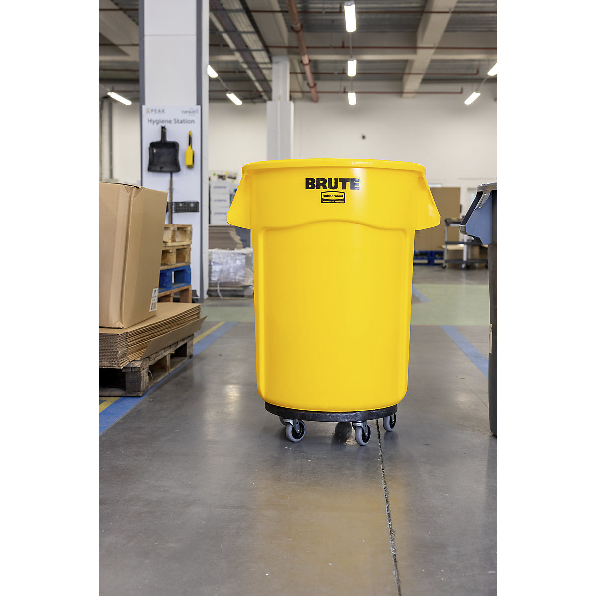 Bidone universale BRUTE®, rotondo – Rubbermaid (Foto prodotto 6)-5