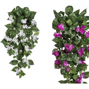 Bougainvilleahänger, 3er-Set