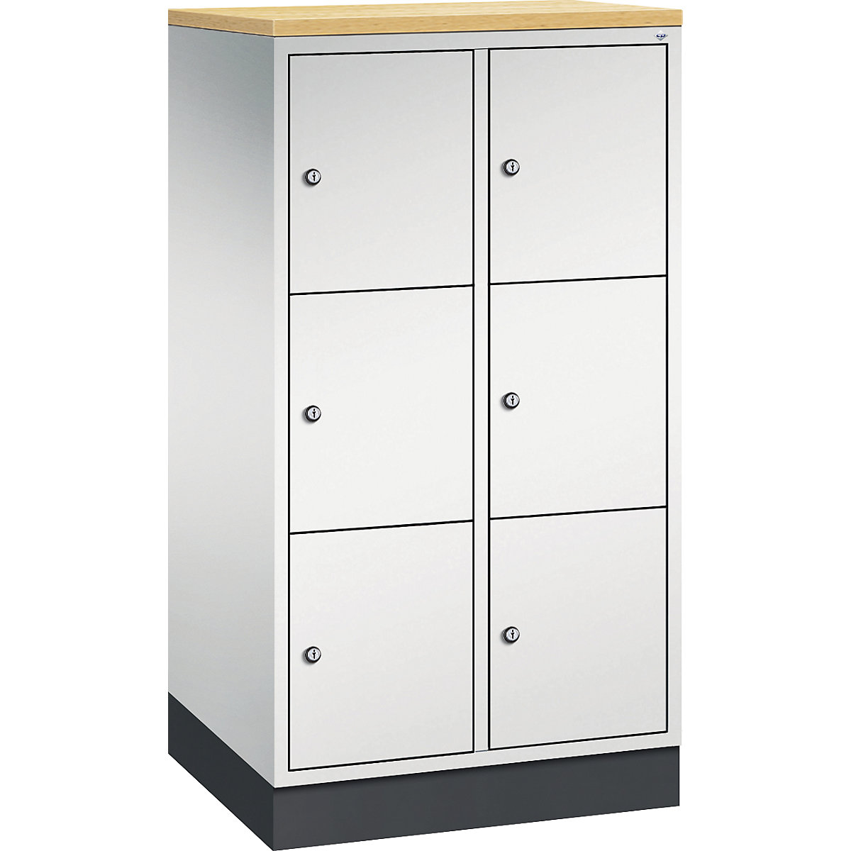 INTRO steel compartment locker, compartment height 345 mm – C+P, WxD 620 x 500 mm, 6 compartments, light grey body, light grey doors