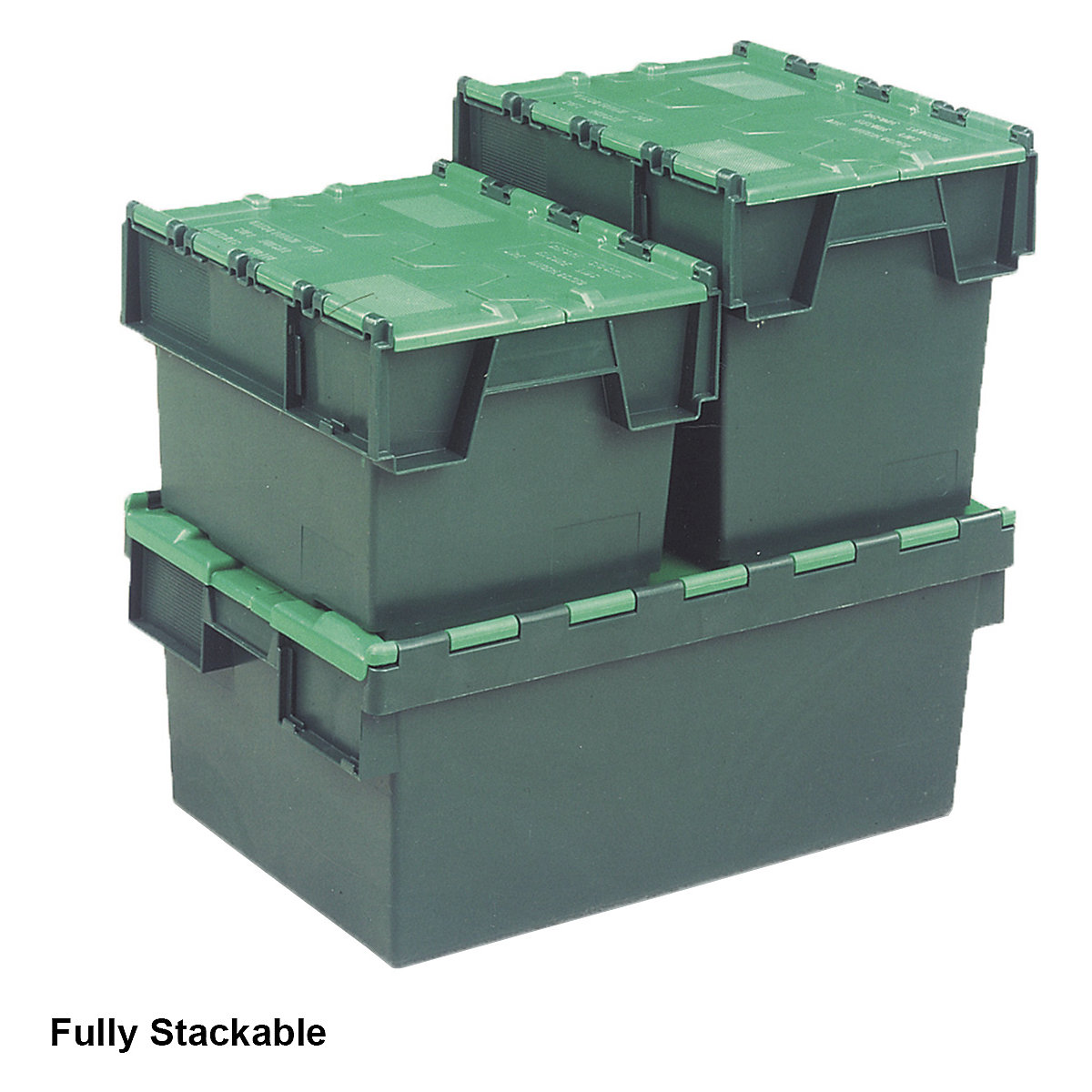 Attached Lid Containers (Product illustration 17)-16