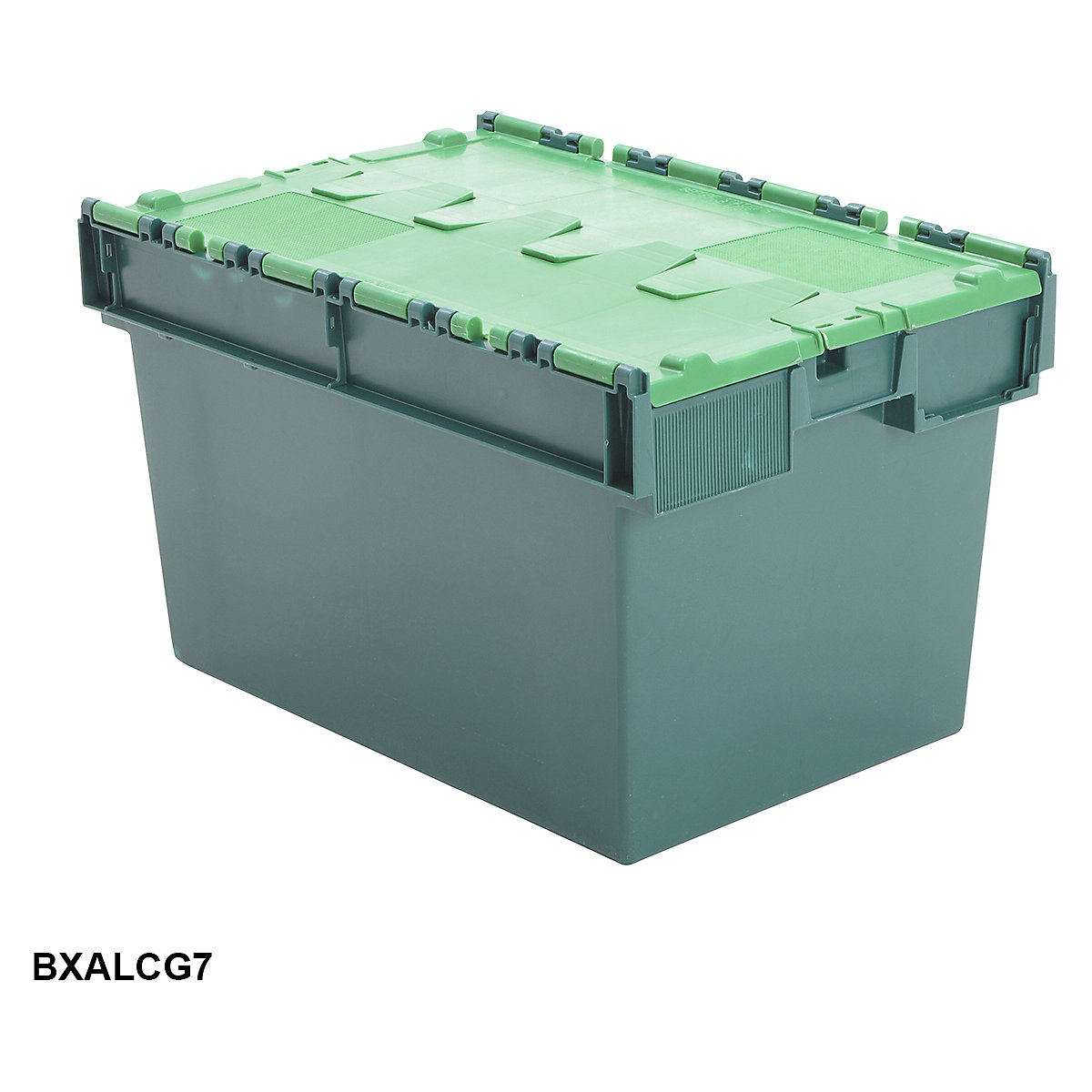 Attached Lid Containers (Product illustration 11)-10