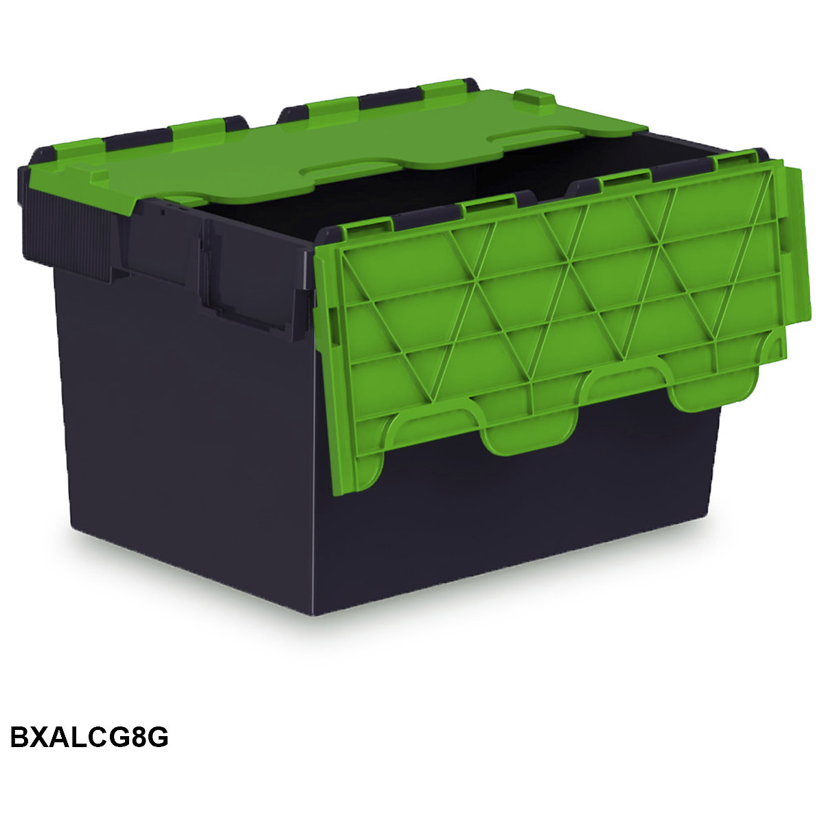 Attached Lid Containers (Product illustration 12)-11
