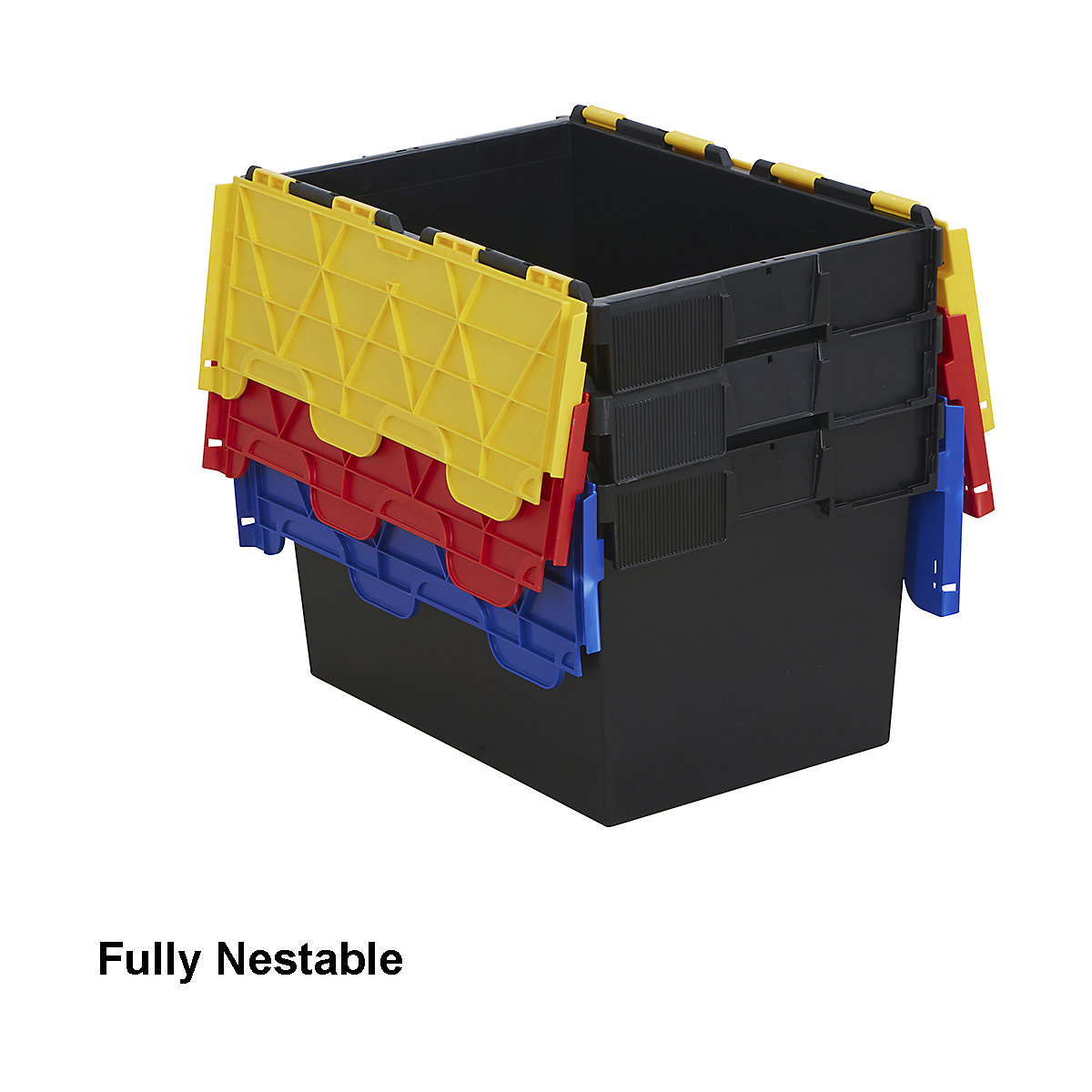 Attached Lid Containers (Product illustration 18)-17