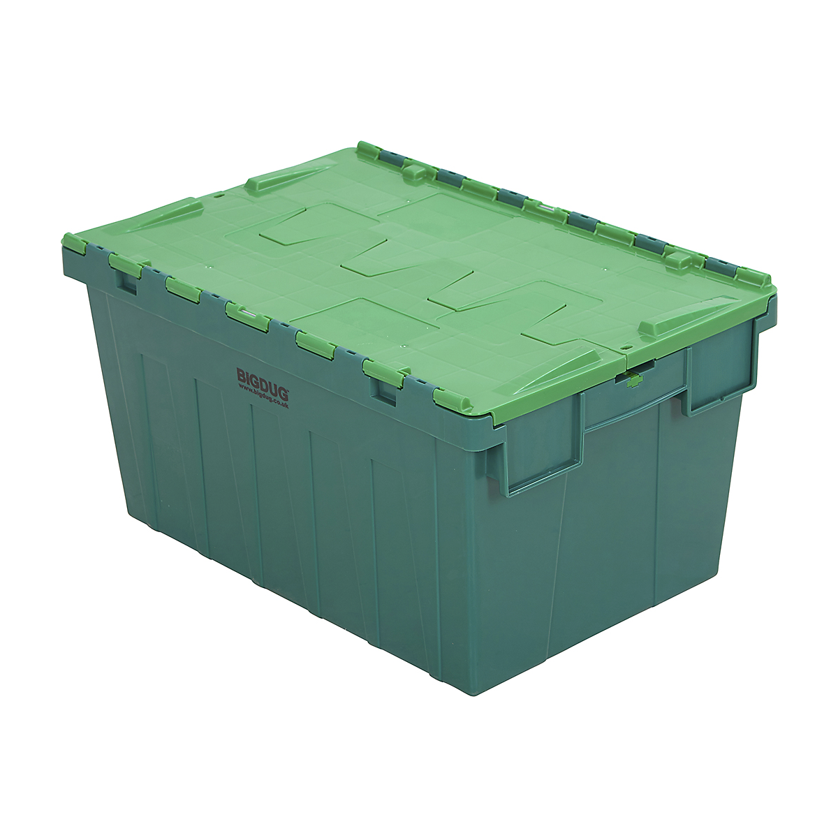 TSPALC50G_25