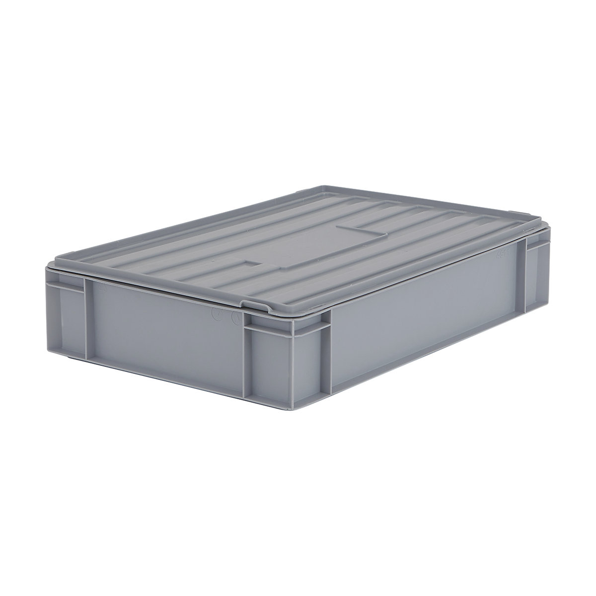 BiGDUG Euro Stacking Boxes with Hinged Lids