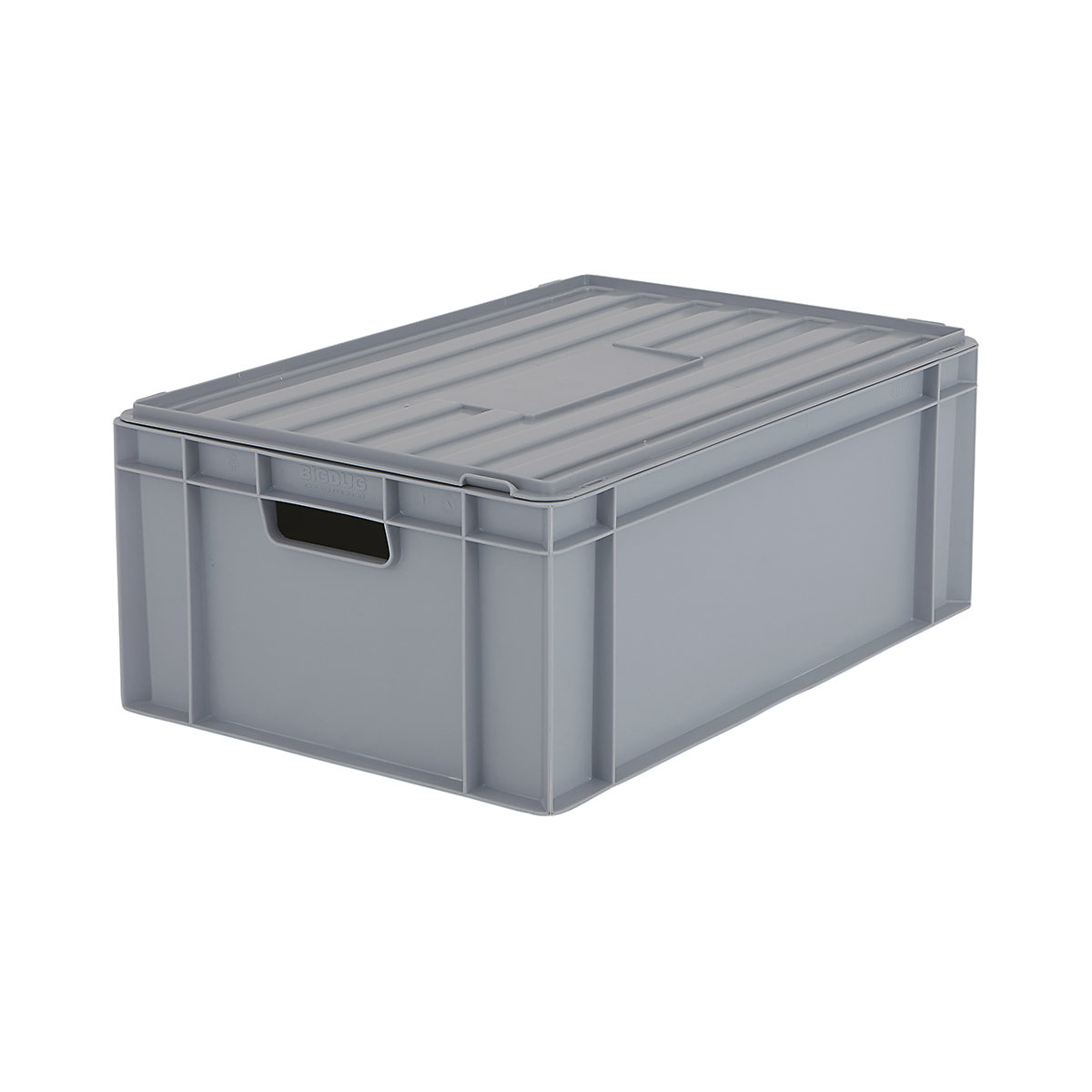 BiGDUG Euro Stacking Boxes with Hinged Lids