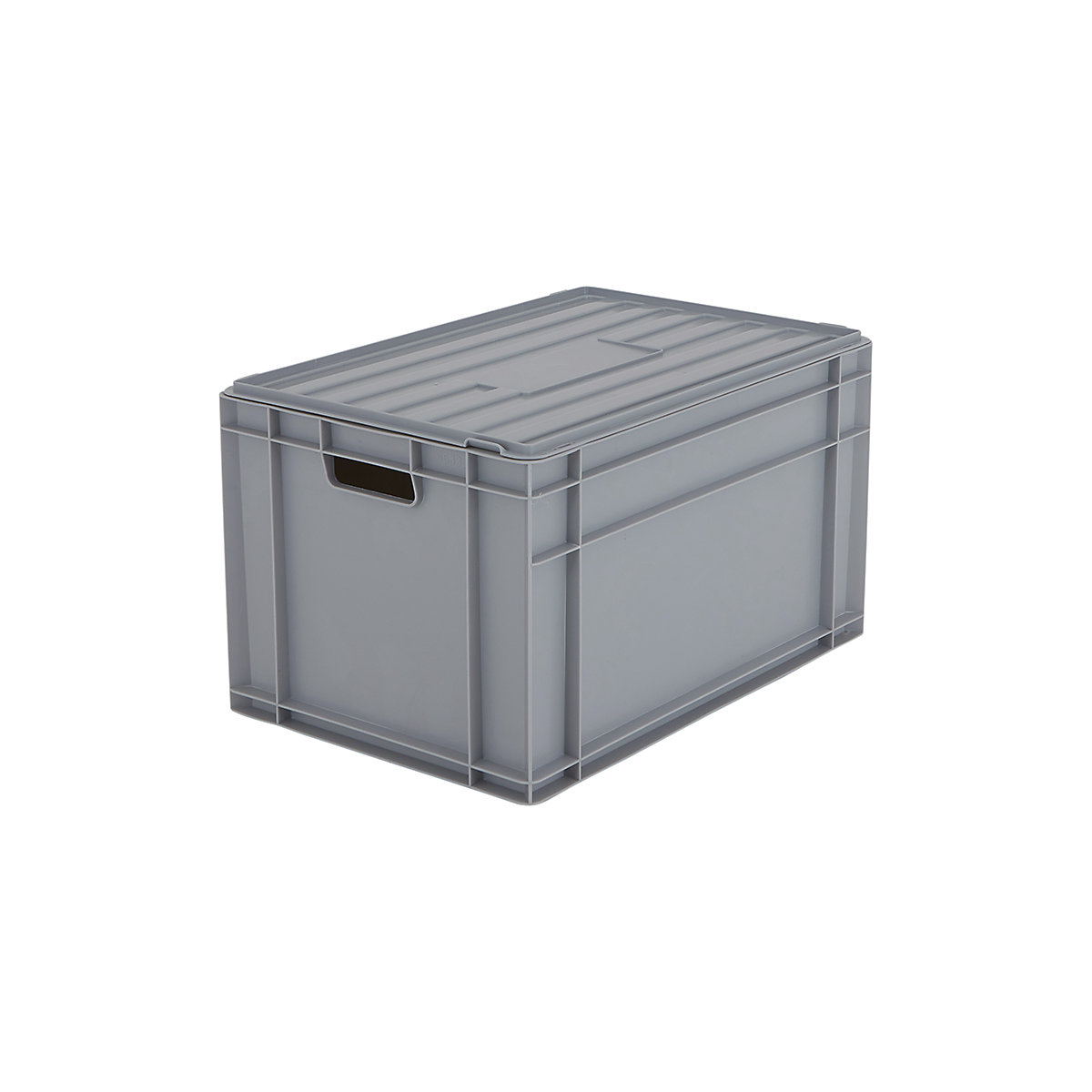 BiGDUG Euro Stacking Boxes with Hinged Lids