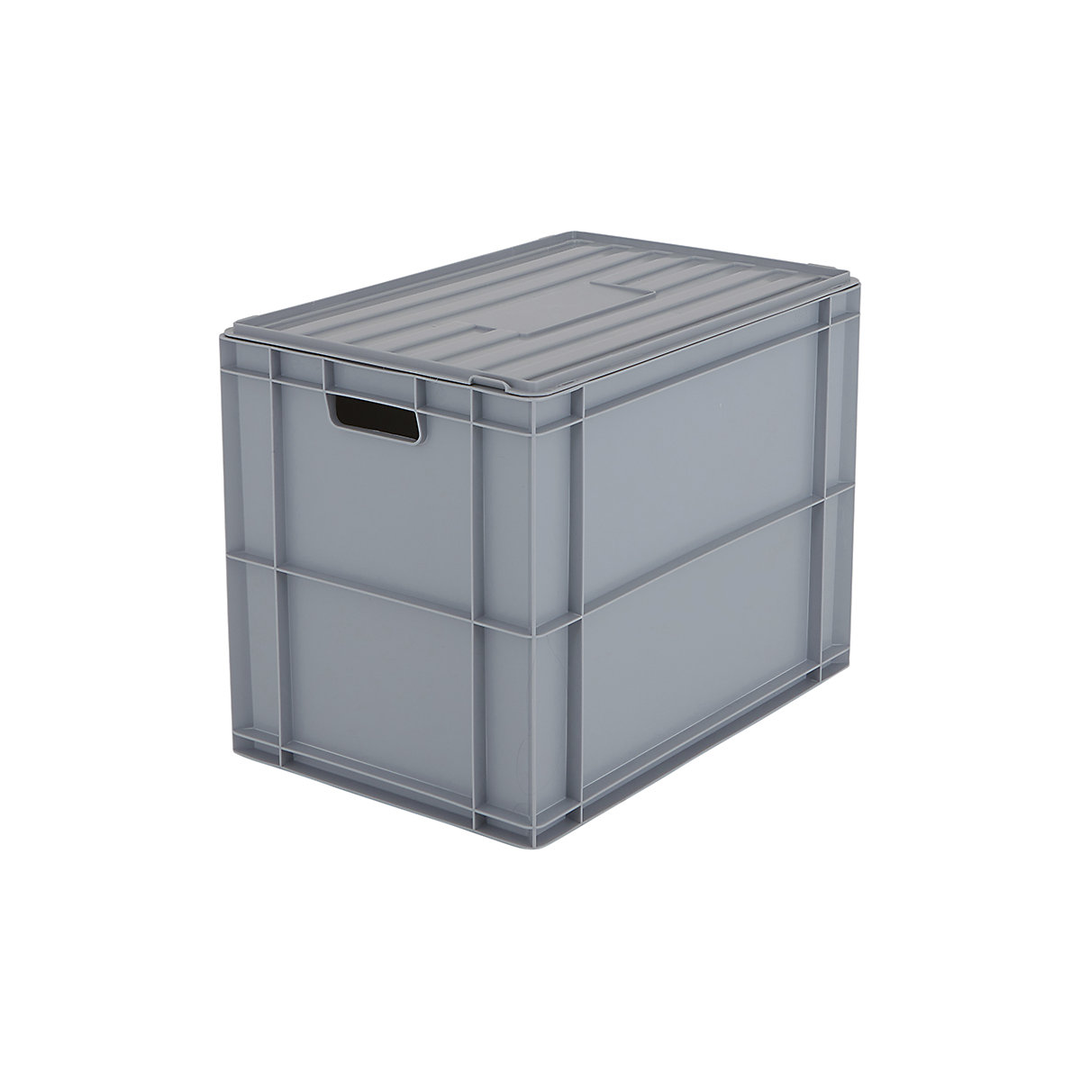 BiGDUG Euro Stacking Boxes with Hinged Lids