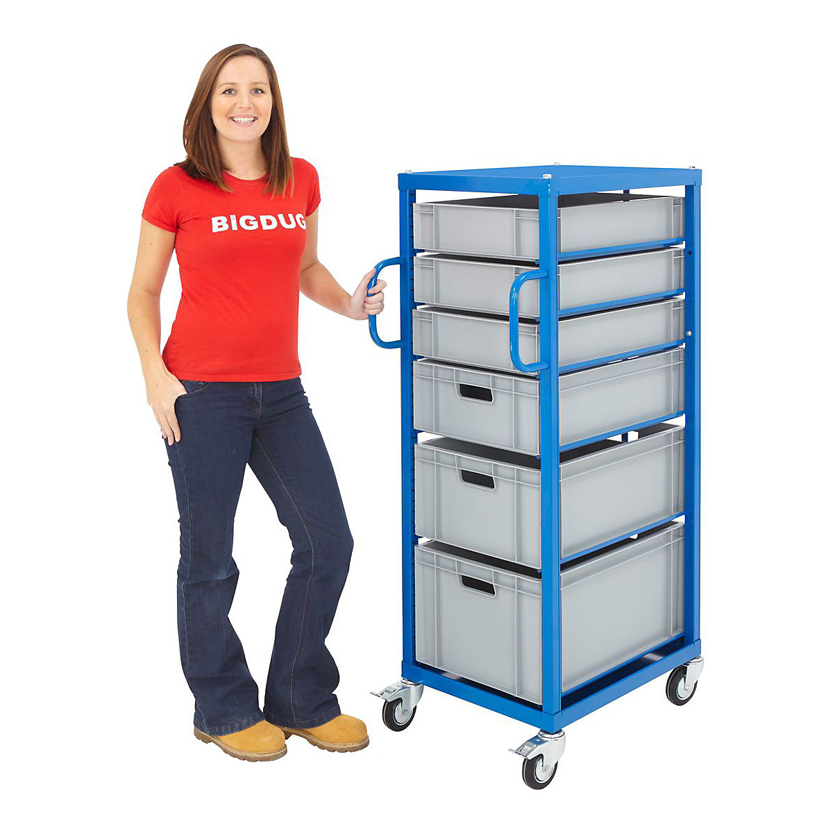 Euro Container Trolleys (Product illustration 5)-4