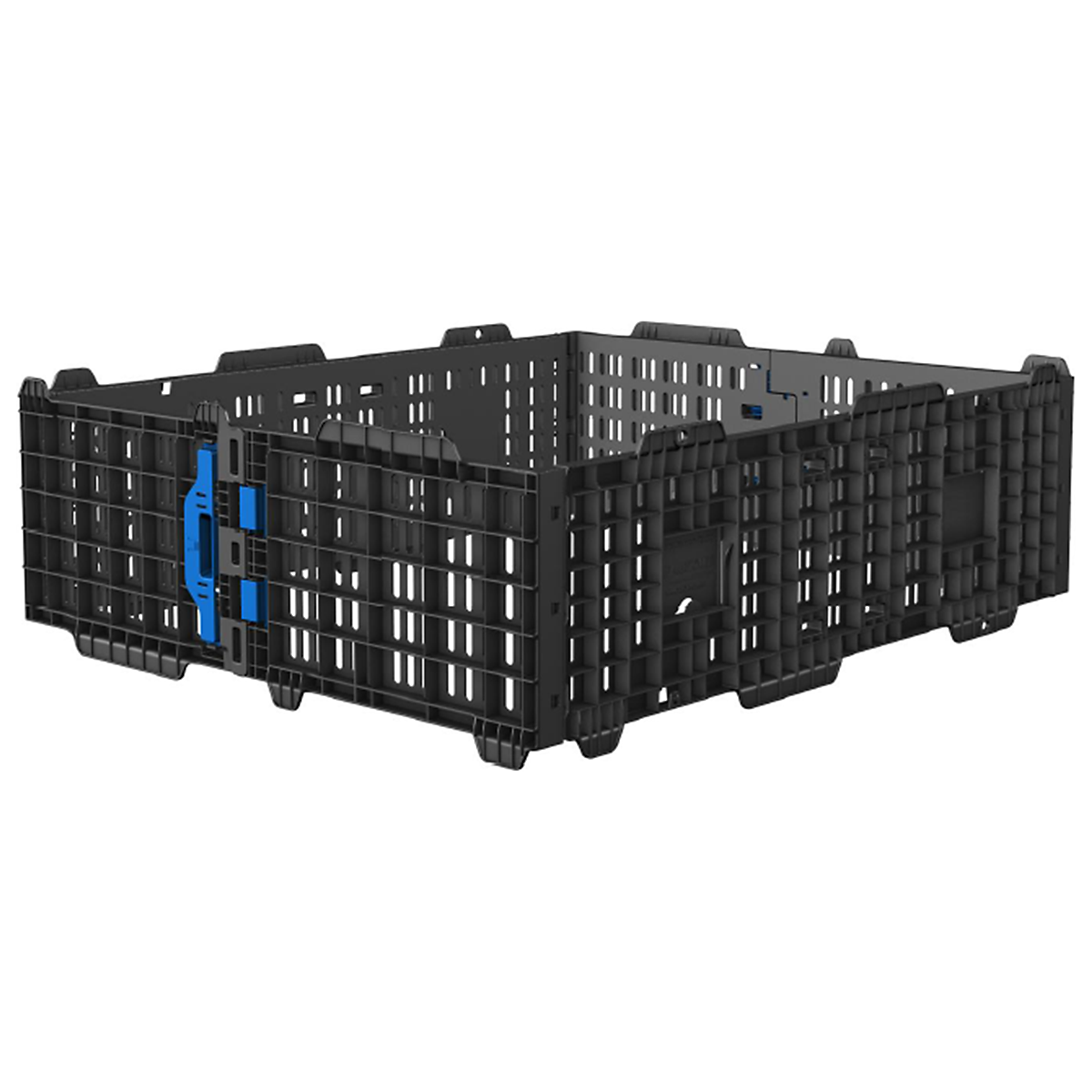 PTPPCR_1