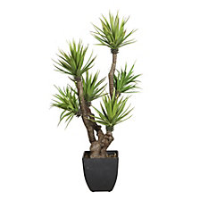 120 mm-es műanyag cserép