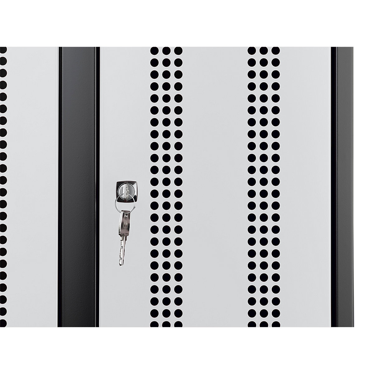 Door for steel cupboard – Wolf