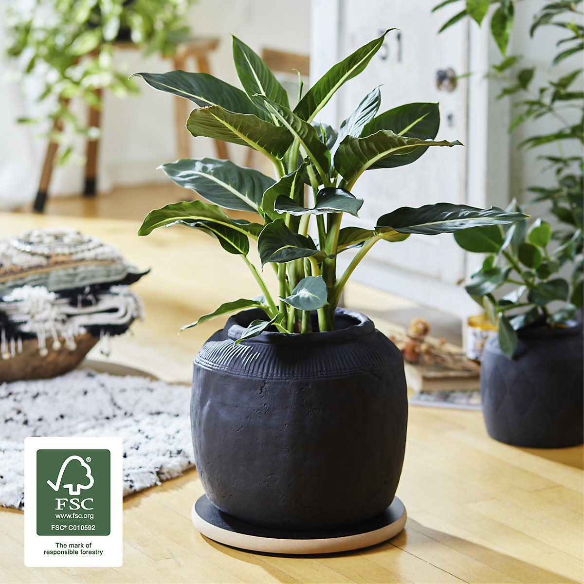 Suport pe roți, pentru plante MDF – Wagner (Imagine produs 3)-2