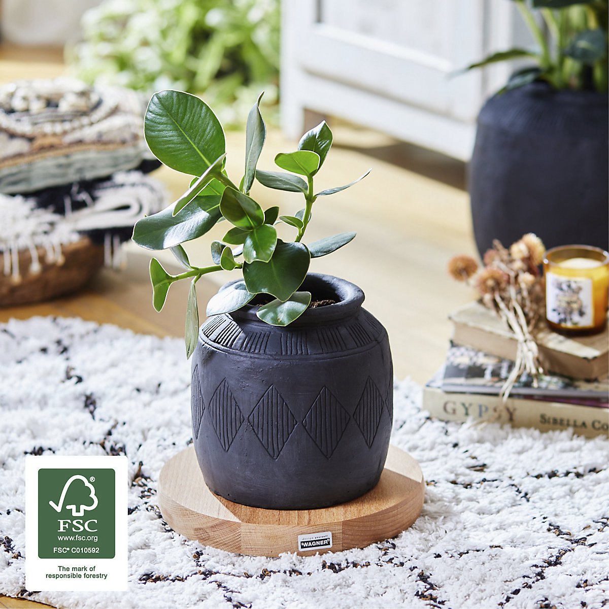 MASSIV beech plant dolly – Wagner (Product illustration 3)-2