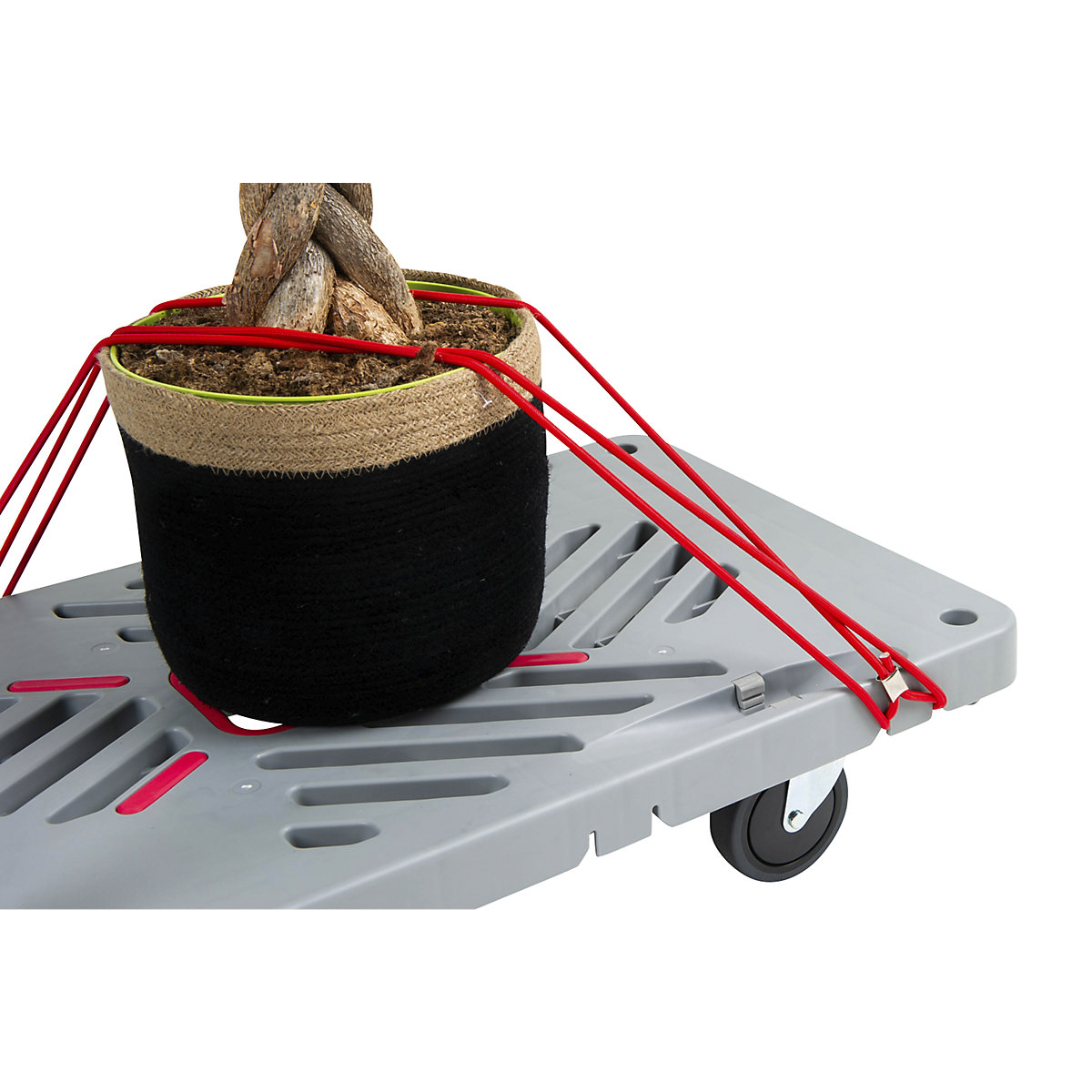 Kolica s platformom RuXXac Dandy (Prikaz proizvoda 2)-1