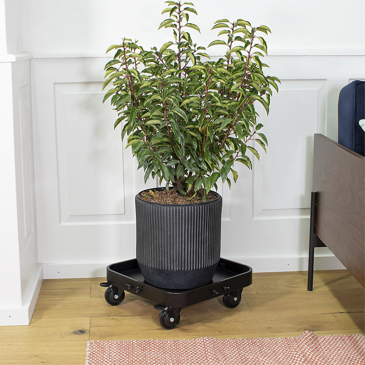 Suporte de rodas para plantas SUN CITY – Wagner (Imagem do produto 3)-2