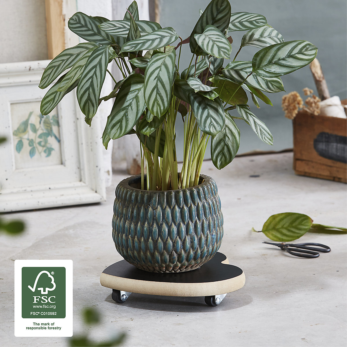 Soporte de MDF con ruedas para macetas – Wagner (Imagen del producto 3)-2