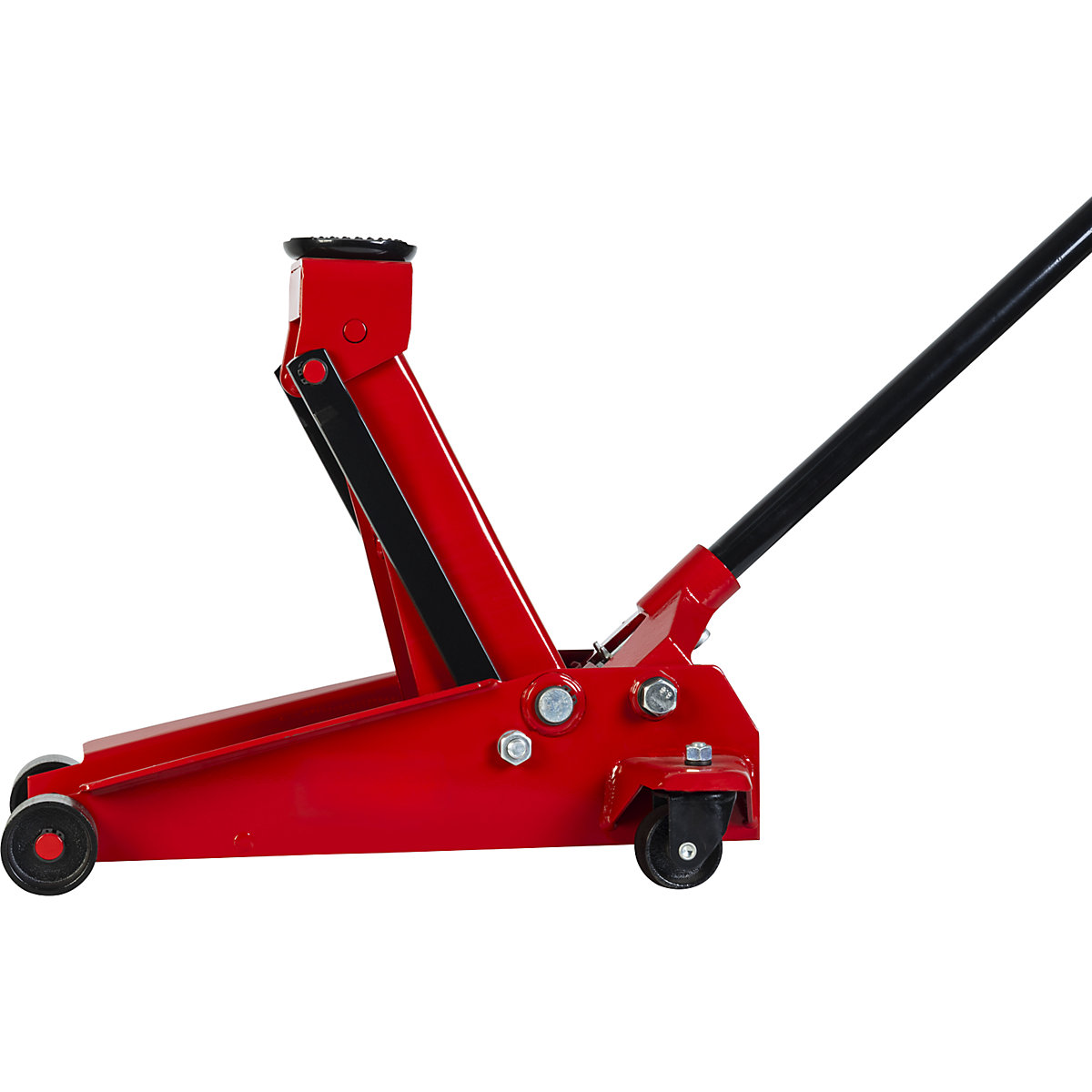 Gato (Imagen del producto 6)-5