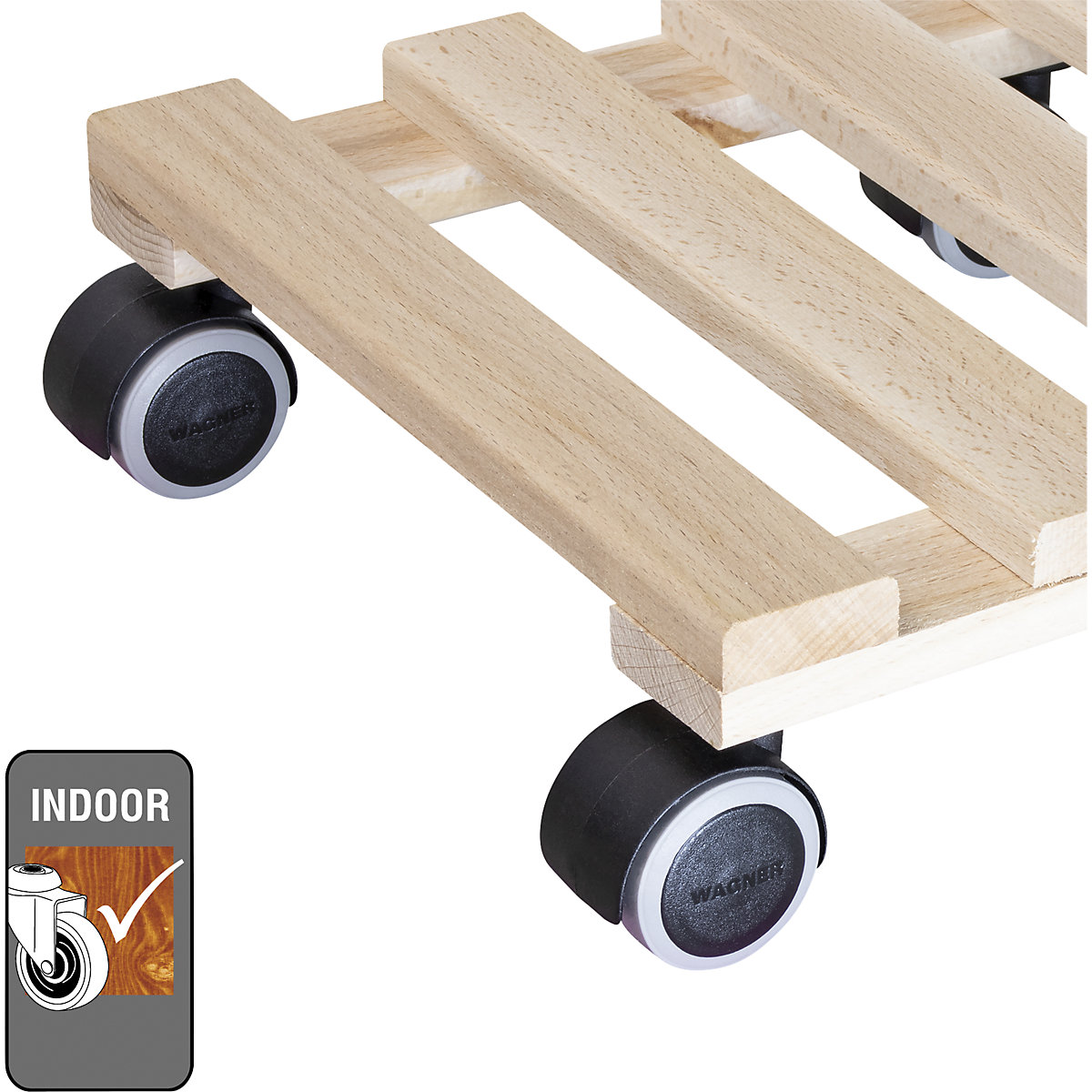 Pflanzenroller Buche PALETTI Wagner (Produktabbildung 3)-2