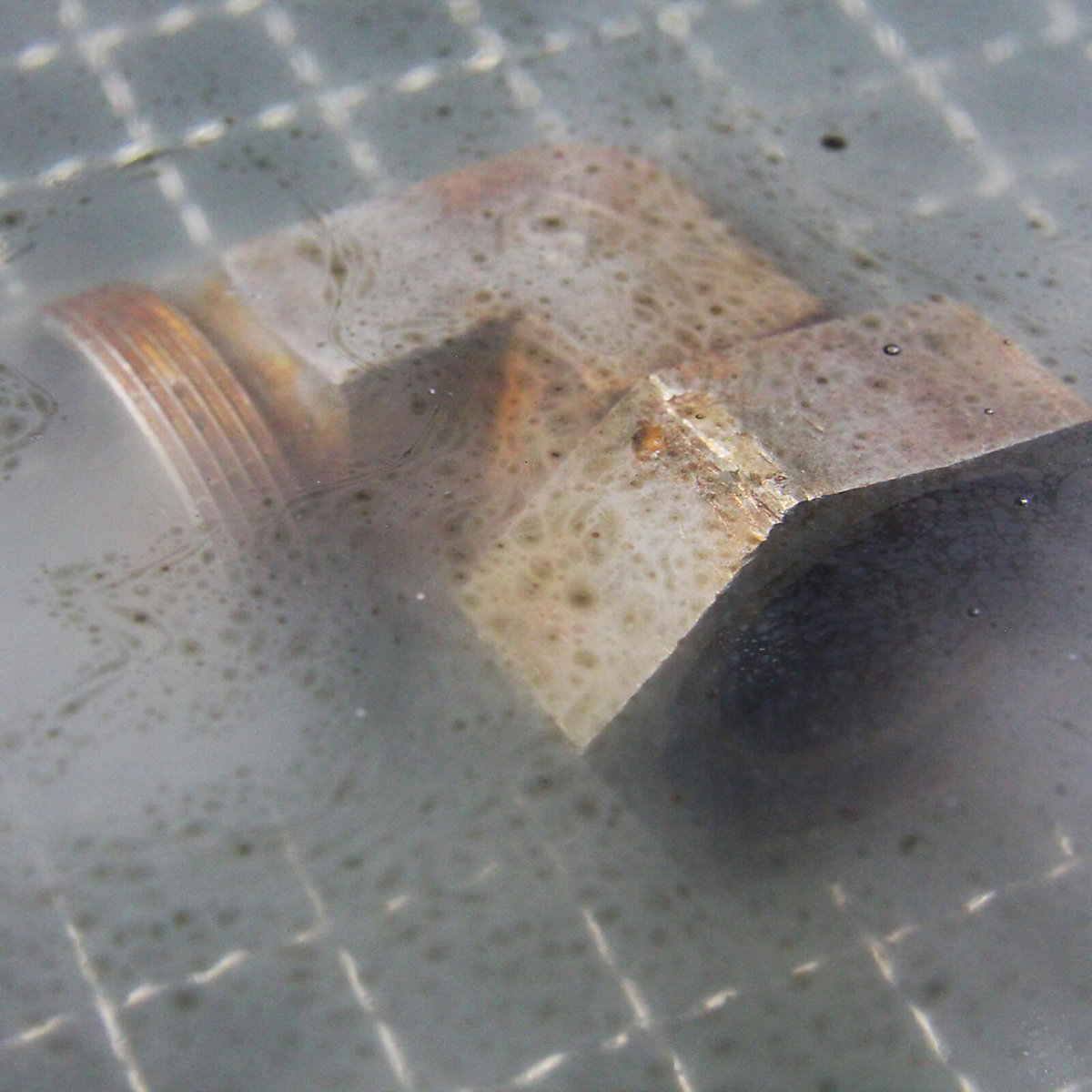 Ultraschallreiniger Derust Neutral US Cleaner Bio-Circle (Produktabbildung 5)-4