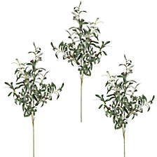 visina 1000 mm, 26 voćki