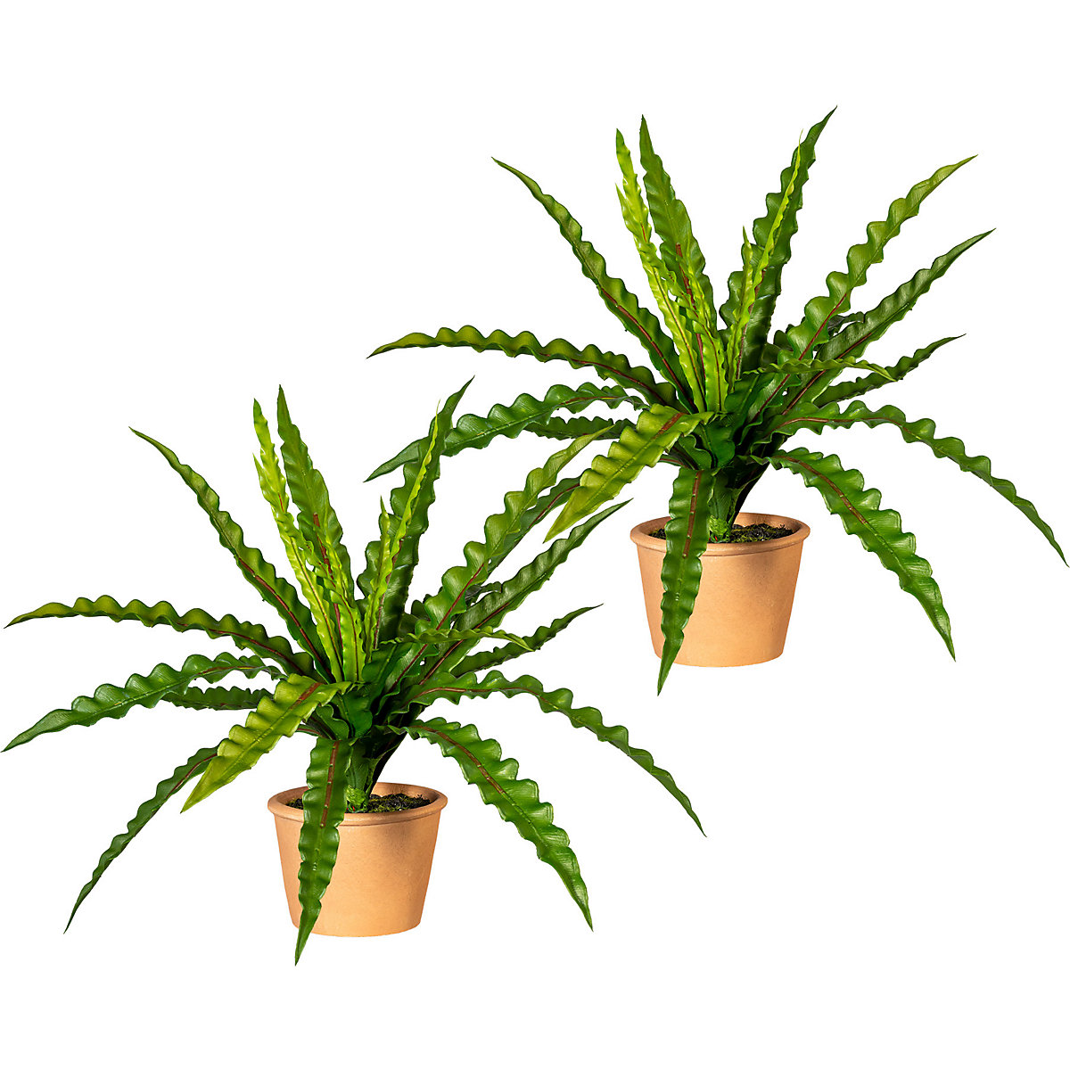 Umjetna biljka – prirodna imitacija