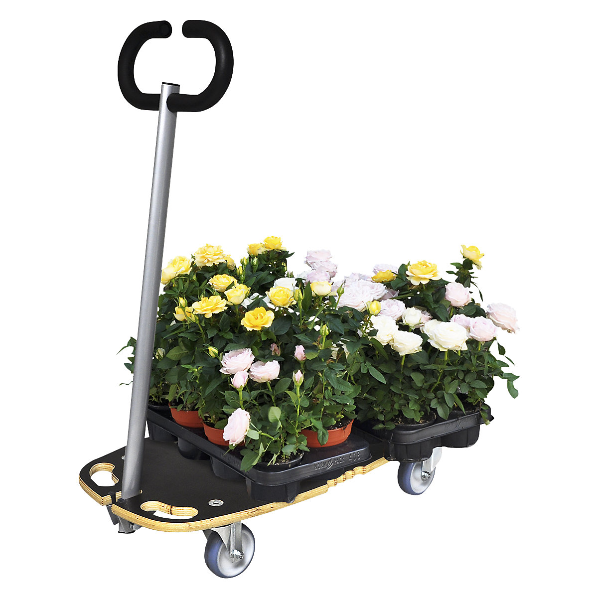 Wózek transportowy STAR CARRIER EXCELLENCE – Wagner (Zdjęcie produktu 6)-5