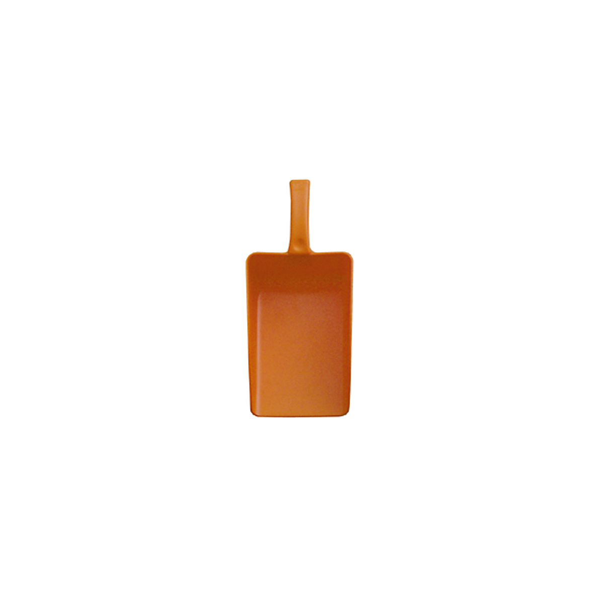 123863