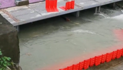 Hoogwaterkering (Productafbeelding 5)-4
