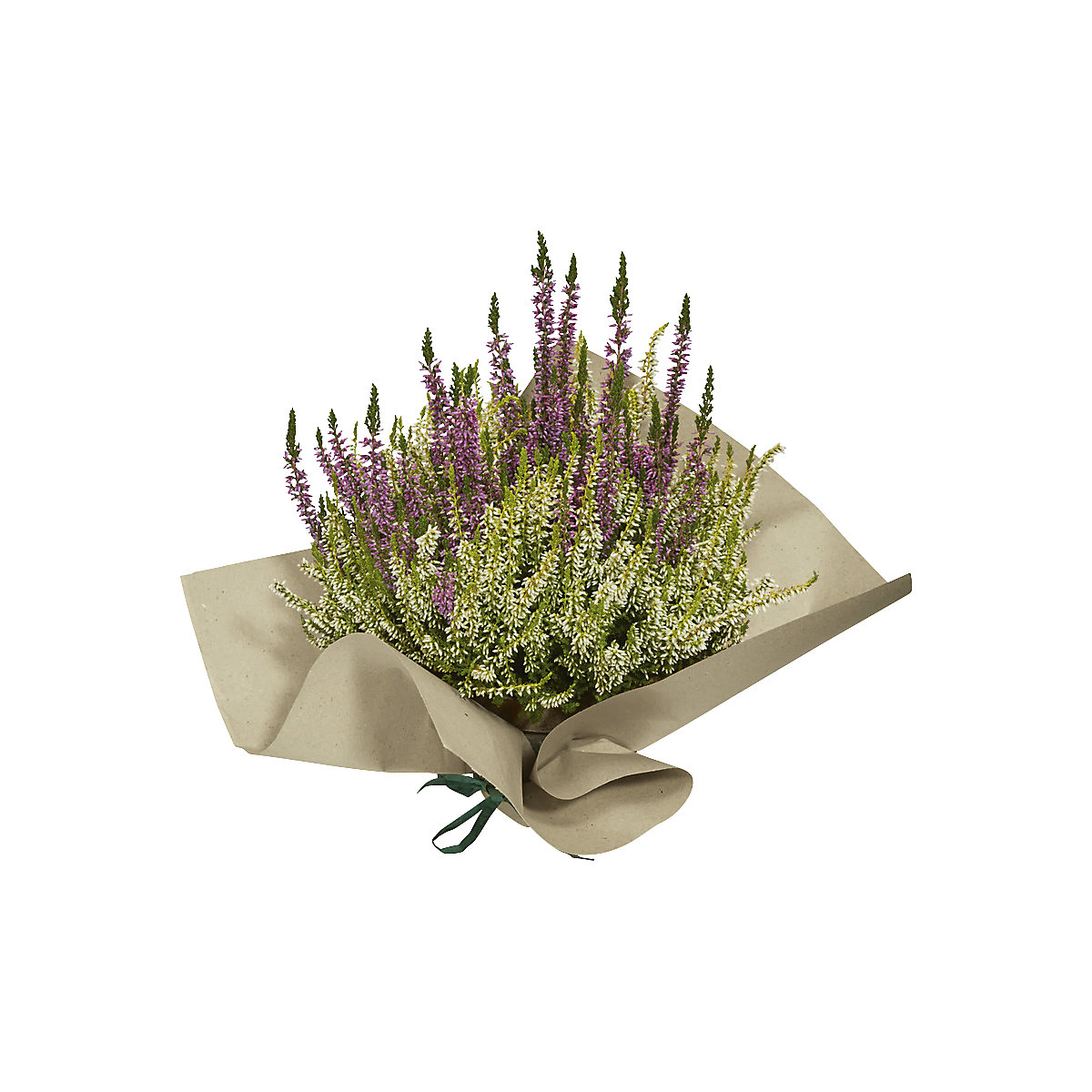 Graspapier-Packpapier auf Rolle ratioform terra (Produktabbildung 4)-3