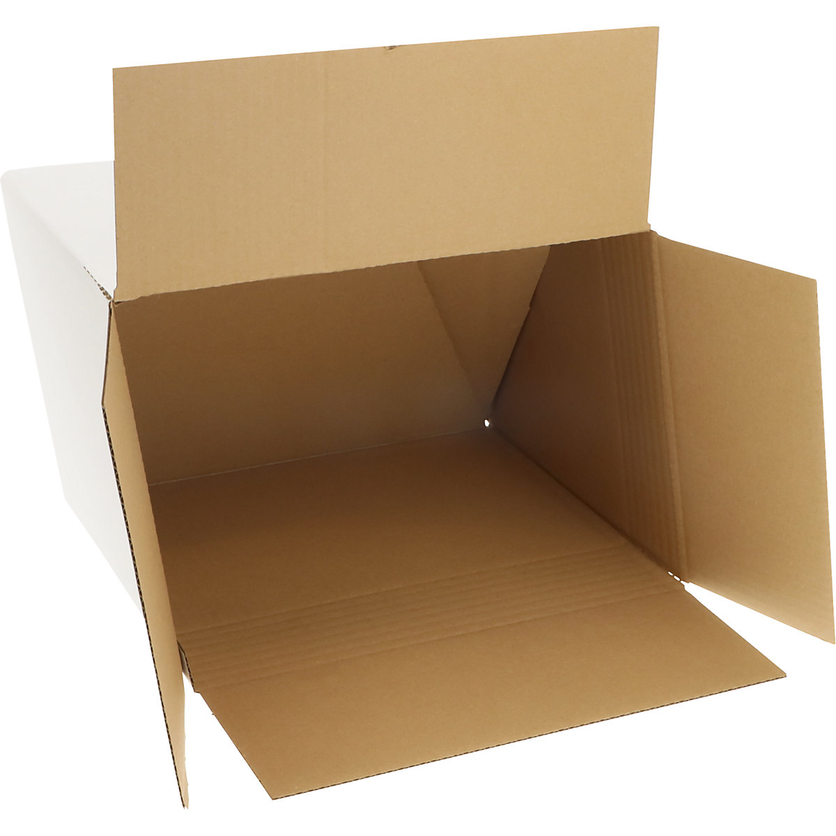 Blitzboden-Aufrichtekarton weiß ratioform (Produktabbildung 2)-1