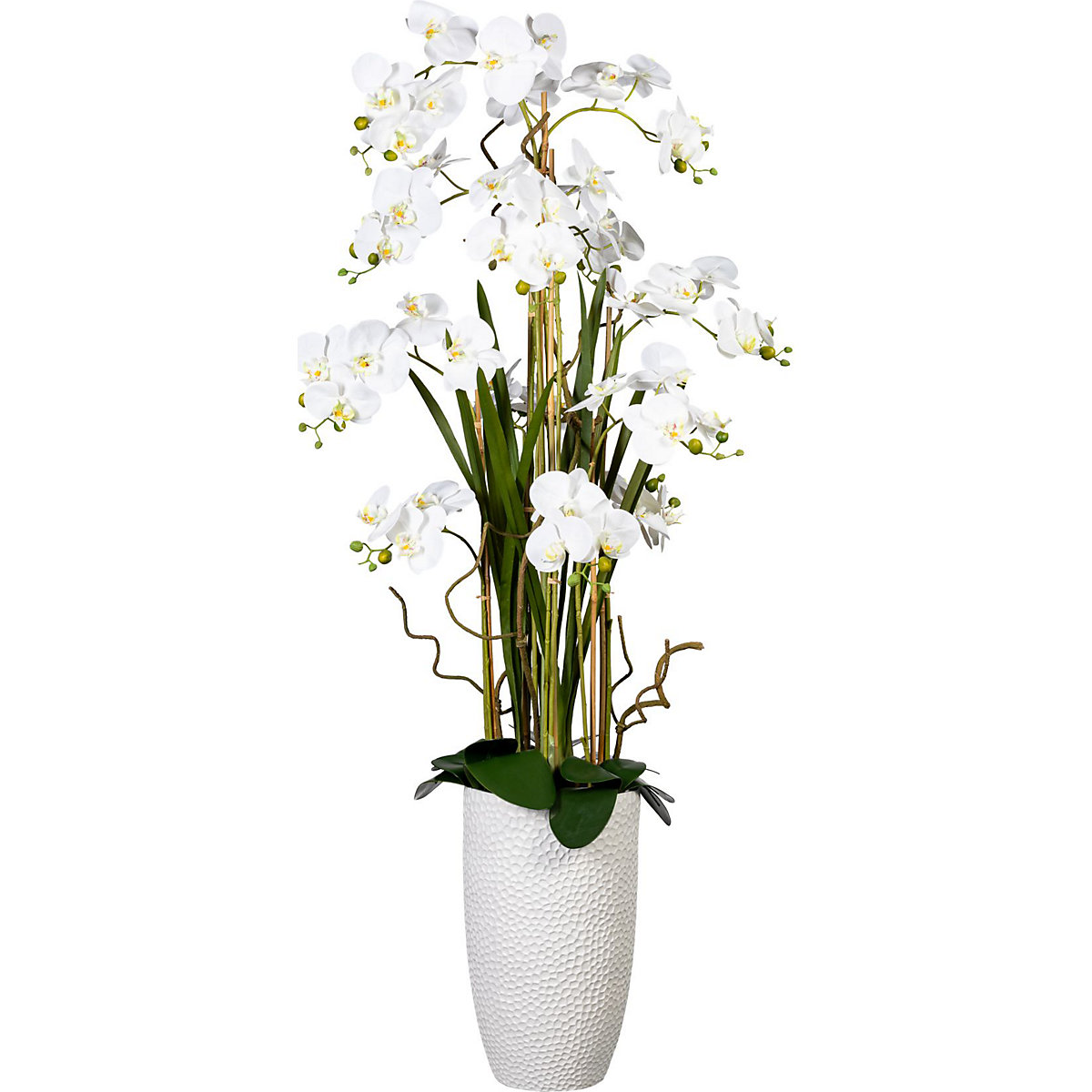 Aranžmá s orchidejí Phalaenopsis