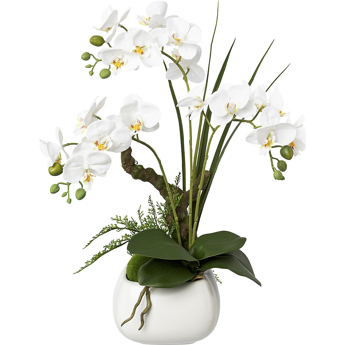 Orchidej Phalaenopsis, real touch, výška 460 mm, bílé květy-1