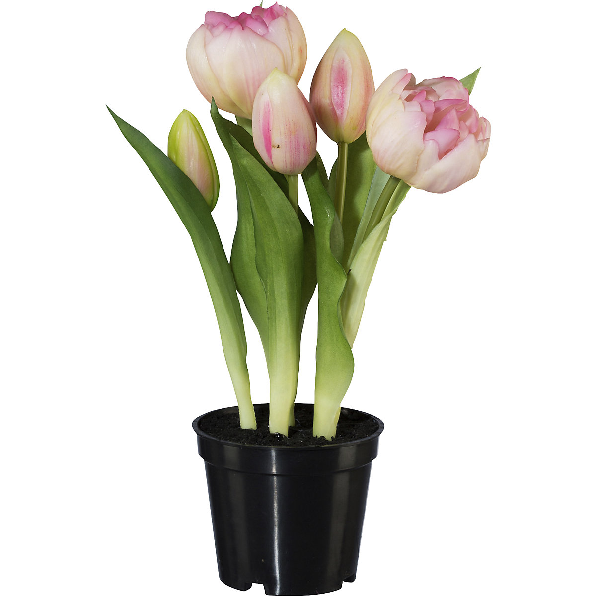 Plné tulipány, real touch, v kvetináči (Zobrazenie produktu 2)-1