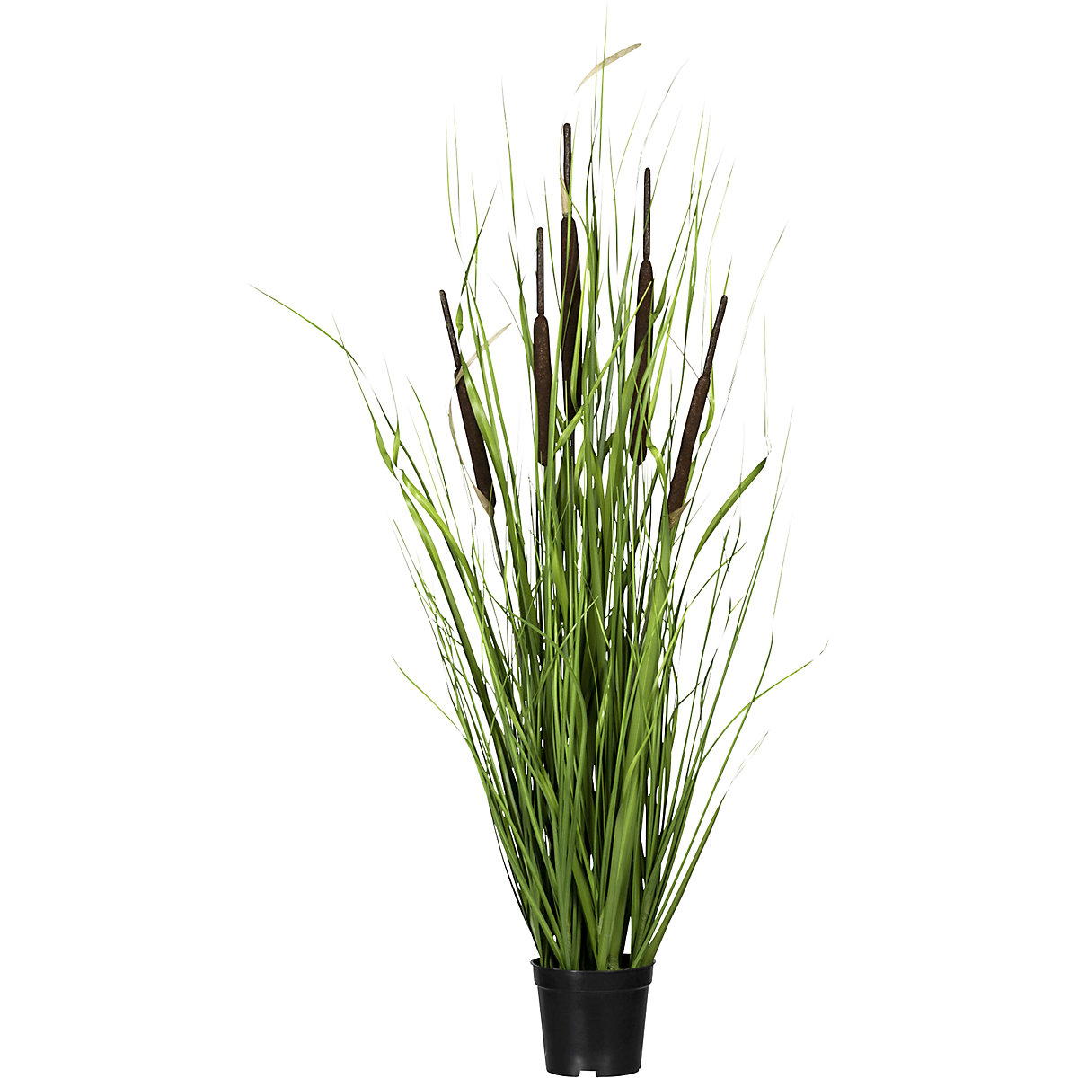 Trs trávy s trstinou (Zobrazenie produktu 2)-1