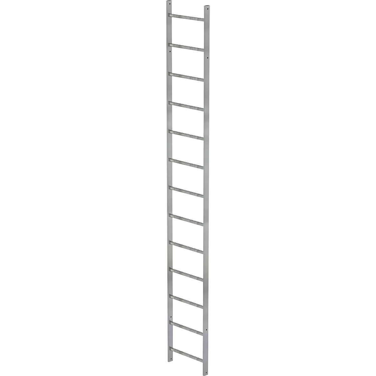 Ladder section - MUNK