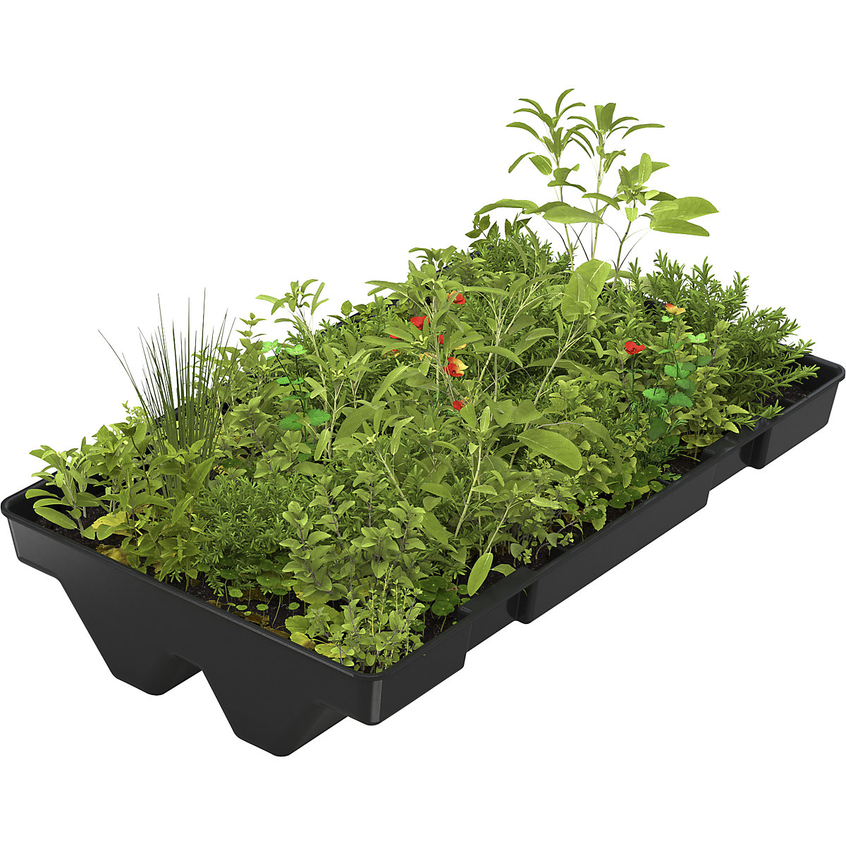 Premium green roof - WSM