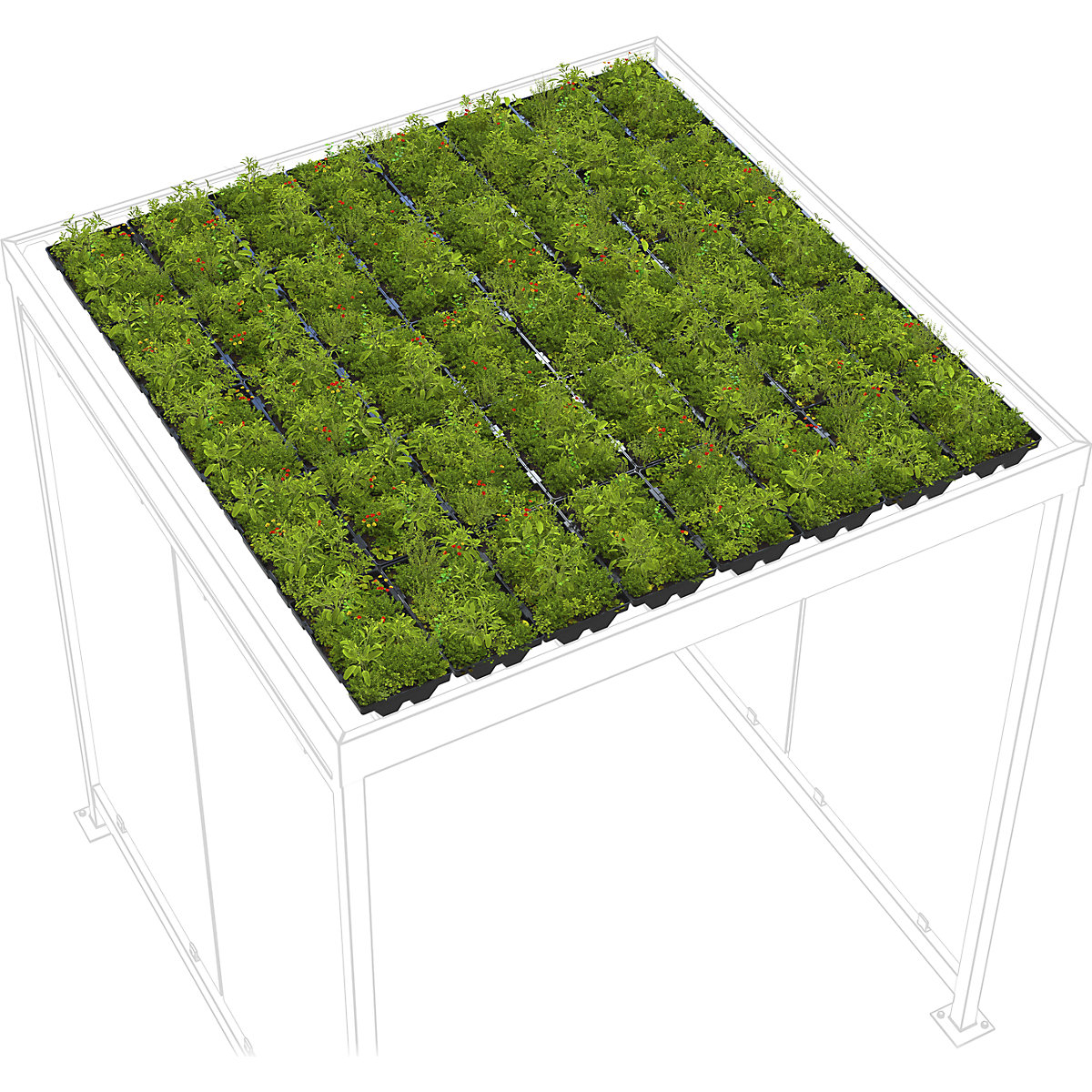 Premium green roof – WSM (Product illustration 2)-1