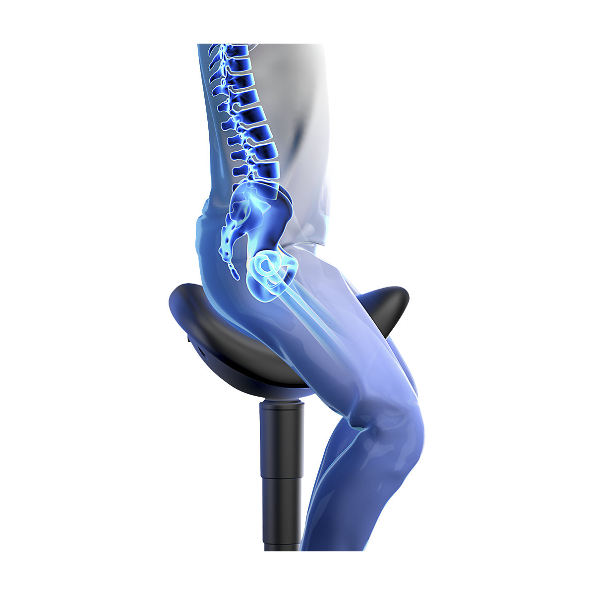 Saddle stool – bimos (Product illustration 6)-5