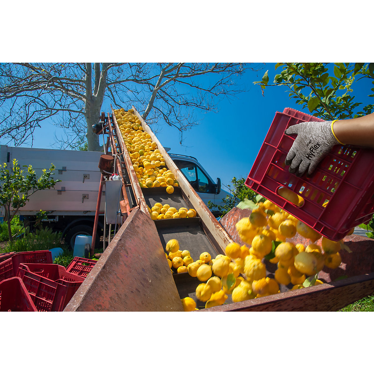 HyFlex® 11-801 work gloves – Ansell (Product illustration 4)-3