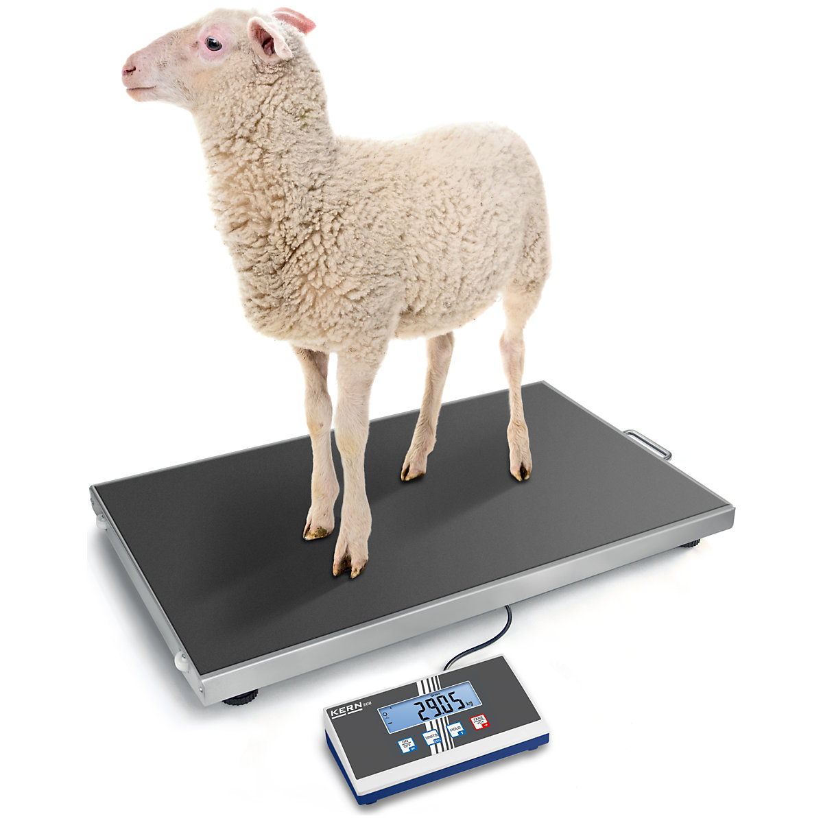 Platform scales – KERN (Product illustration 6)-5