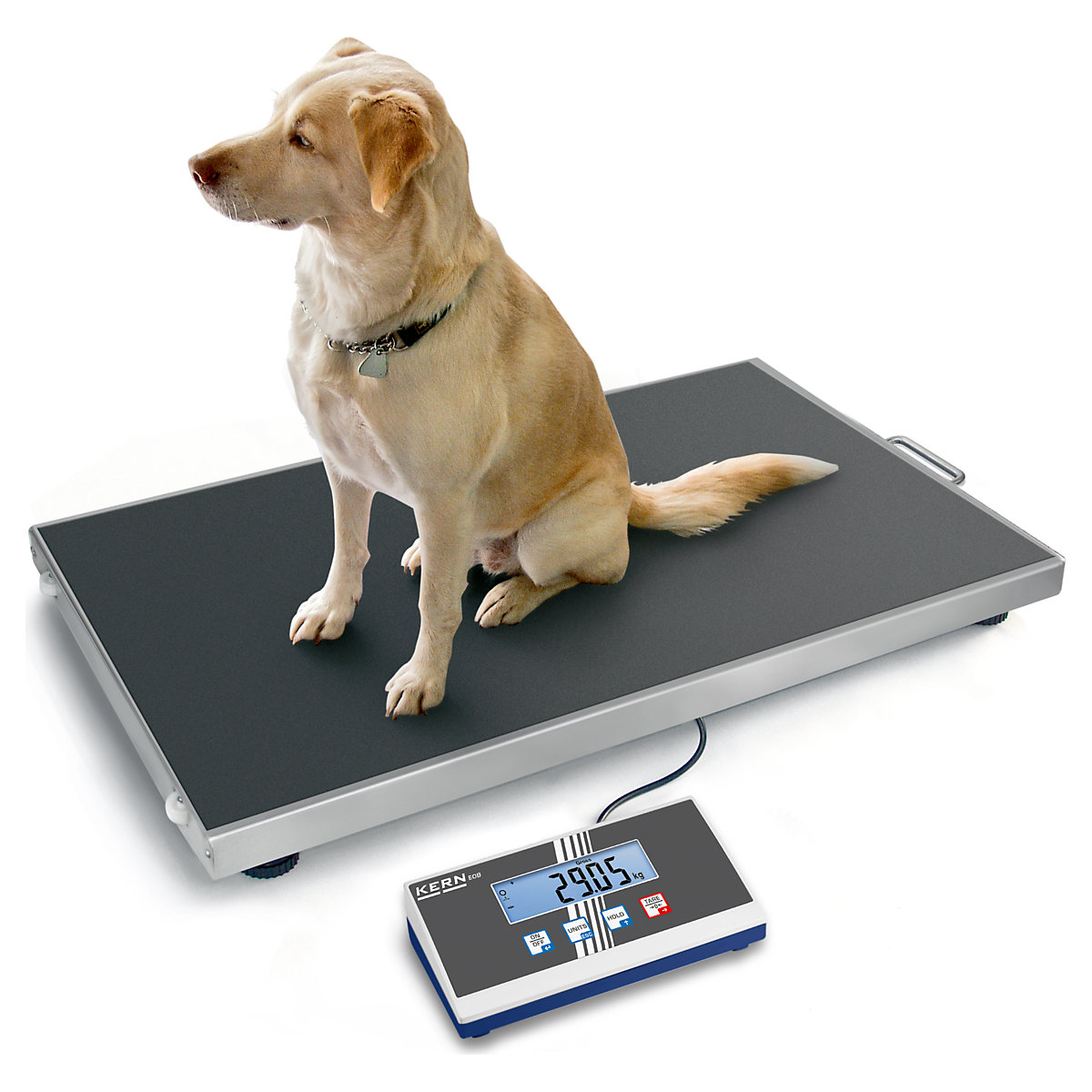 Platform scales – KERN (Product illustration 5)-4