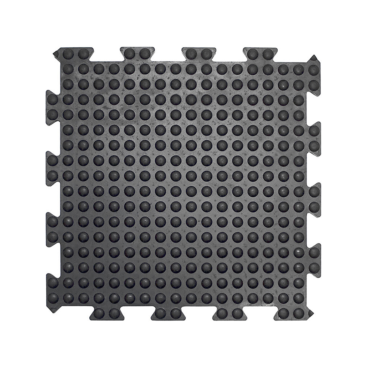 CBBF010007_1