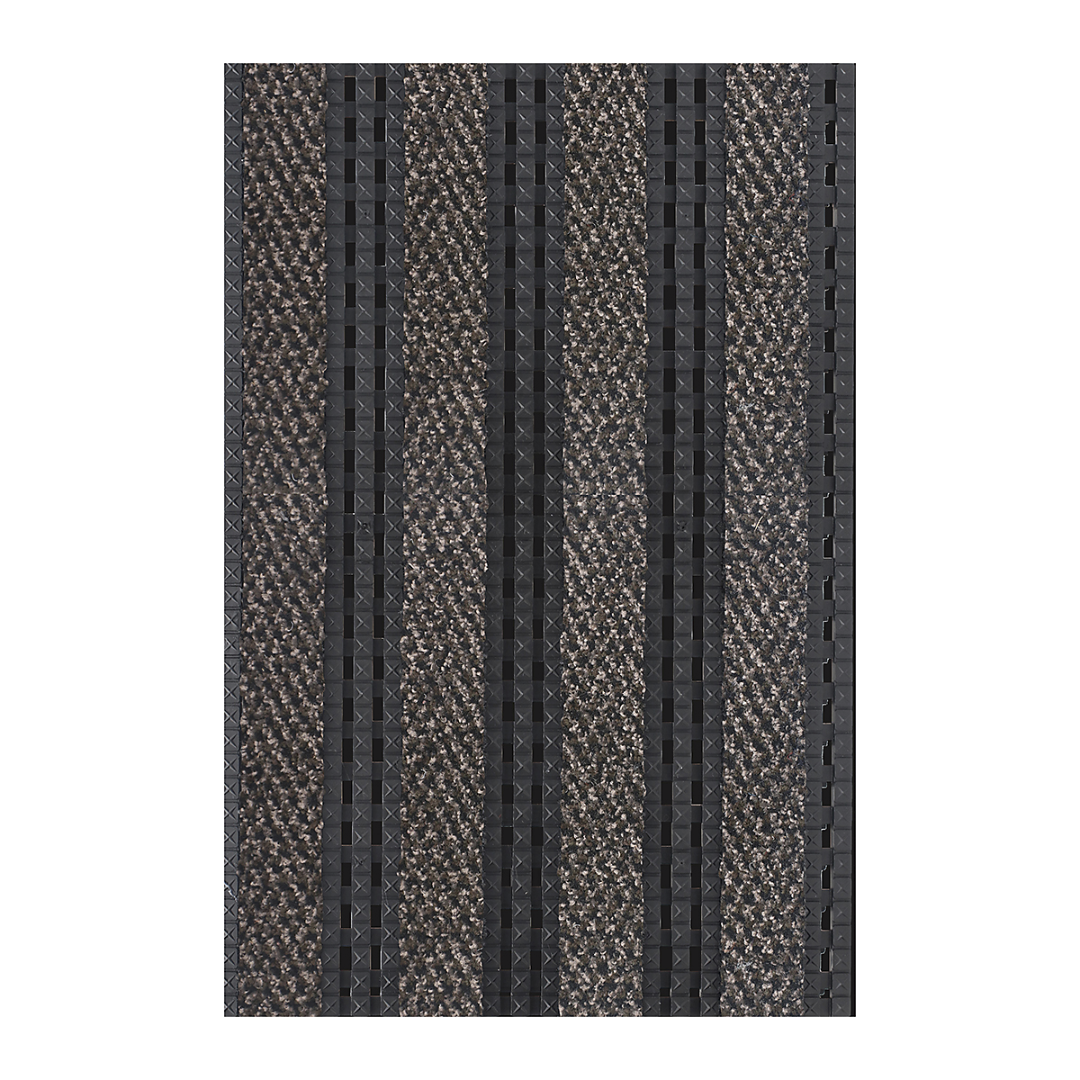 CBPT010501C_1