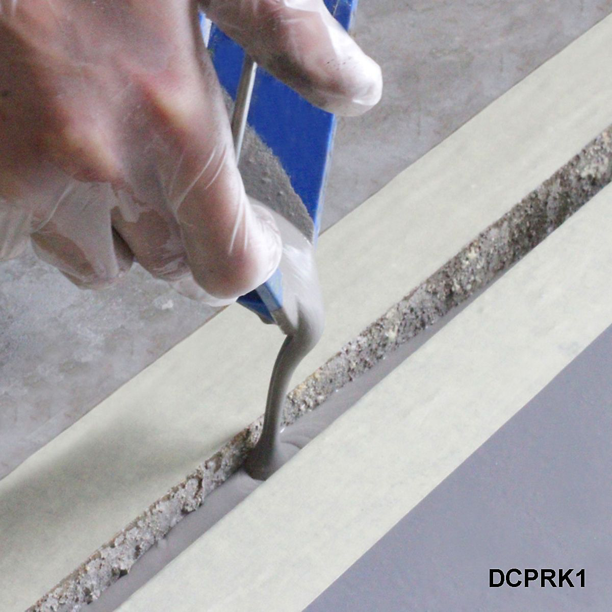 DCPRK1_1