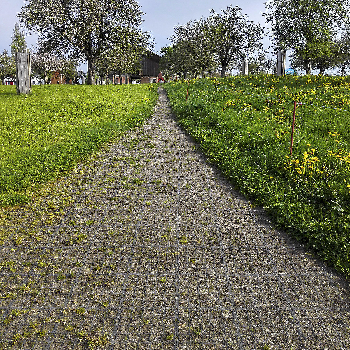 EcoGrid E30 Pedestrian Ground Reinforcement Tiles