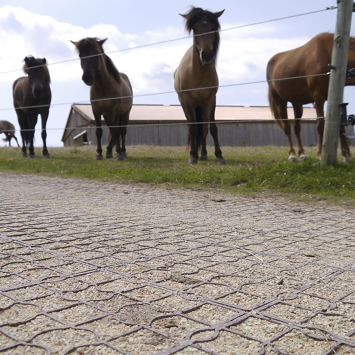 EcoGrid S50 Flexible Ground Reinforcement Tiles