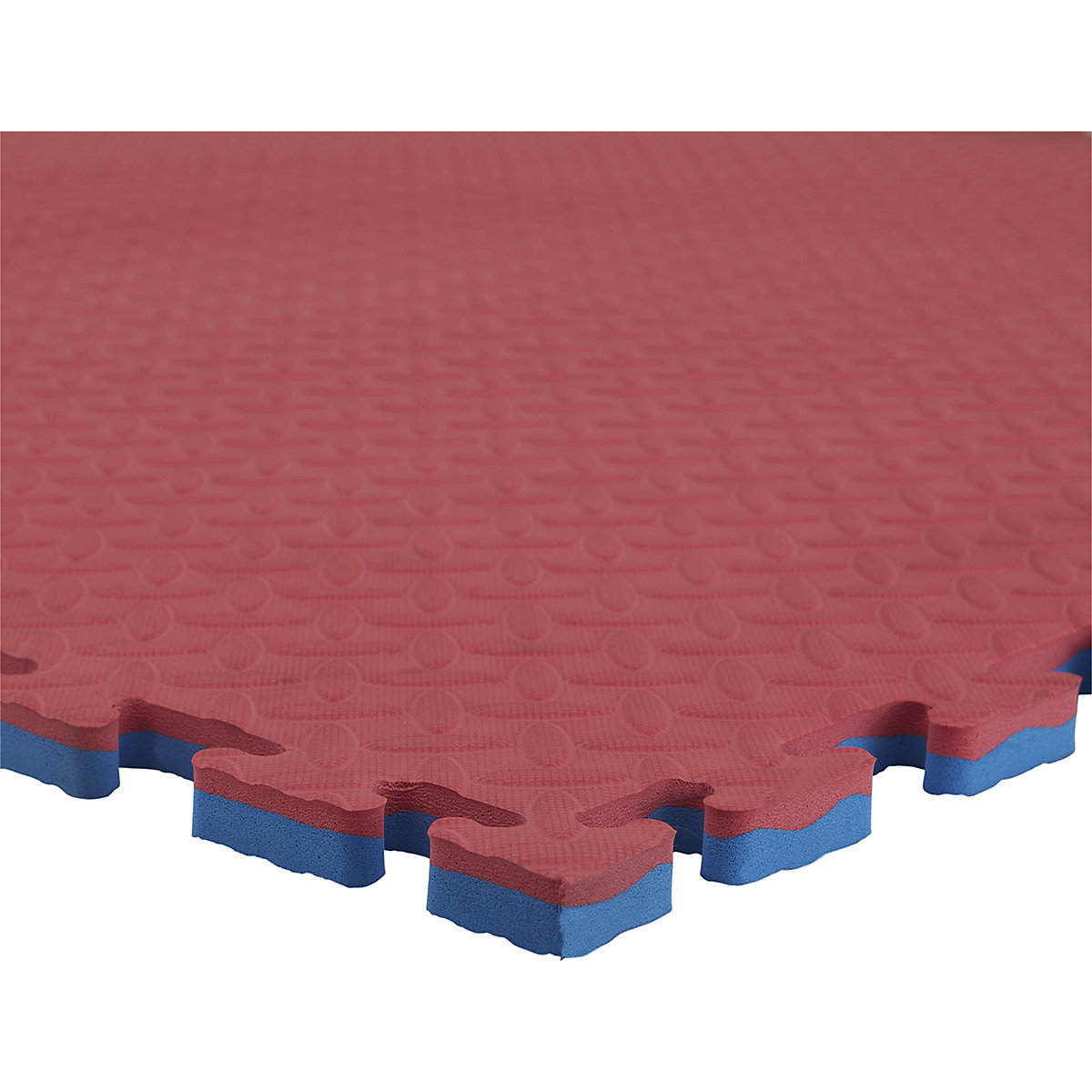 BiGDUG EVA Jigsaw Gym Mats
